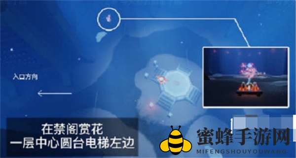 《光遇》2023花憩节赏花位置一览