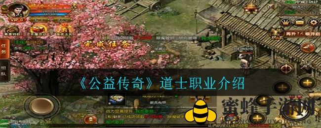 《公益传奇》道士揭秘：神秘疗伤者，升级路上的守护神