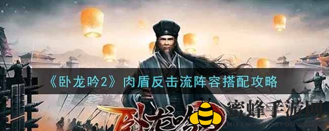《卧龙吟2》肉盾反击流攻略：揭秘高效阵容搭配技巧
