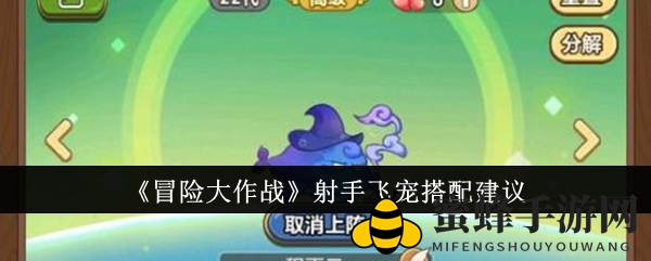 《冒险大作战》射手英雄强力飞行伙伴搭配攻略揭秘