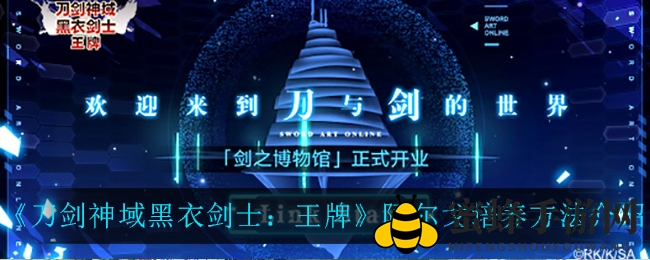 刀剑神域黑衣剑士：揭秘阿尔戈巅峰养成攻略