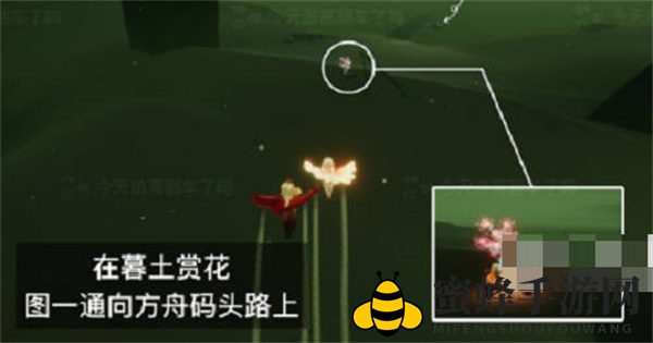 《光遇》2023花憩节赏花位置一览