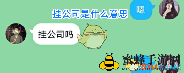 “挂公司”是什么梗