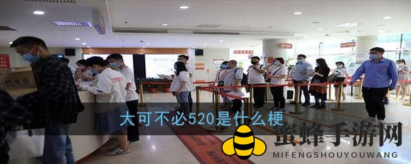 大可不必520是什么梗