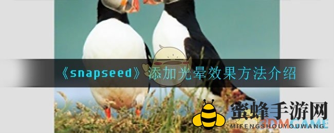 《snapseed》添加光晕效果方法介绍