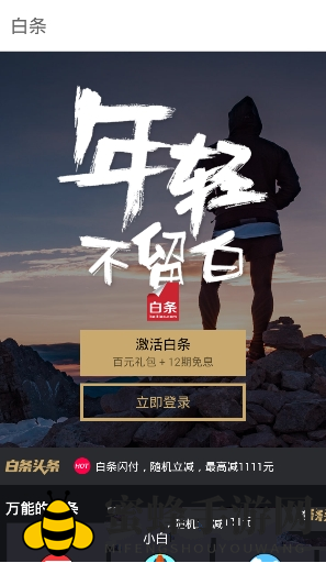 揭秘“好哒白条”：微信圈里的信用消费新玩法